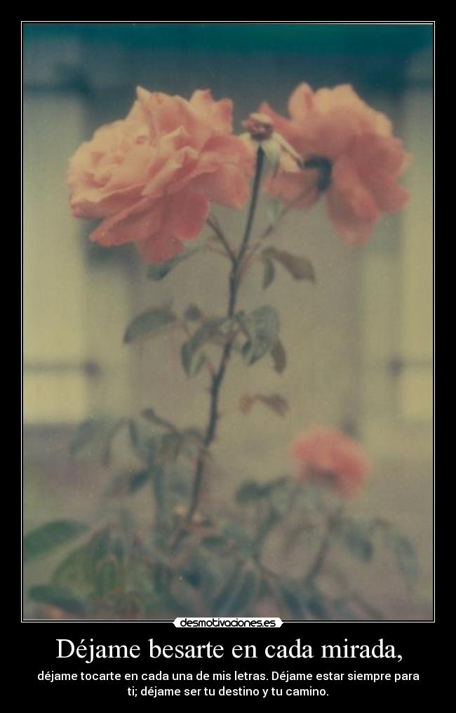 Déjame besarte en cada mirada, - déjame tocarte en cada una de mis letras. Déjame estar siempre para
ti; déjame ser tu destino y tu camino.