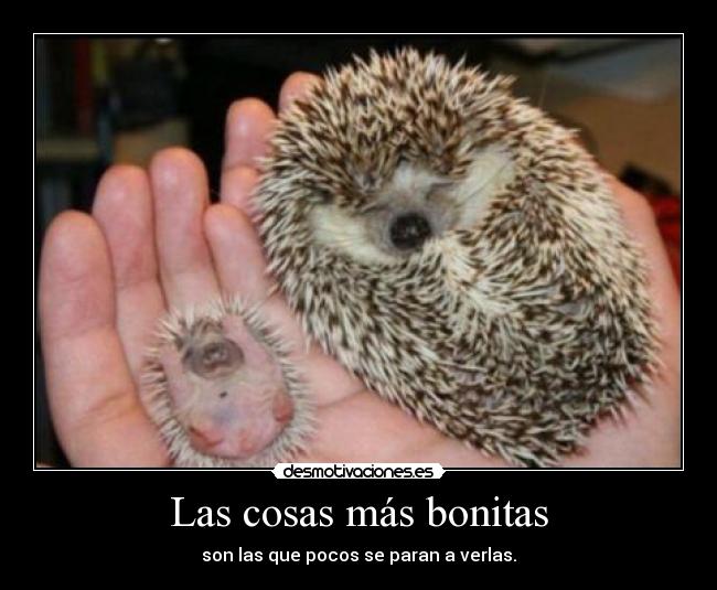 Las cosas más bonitas -
