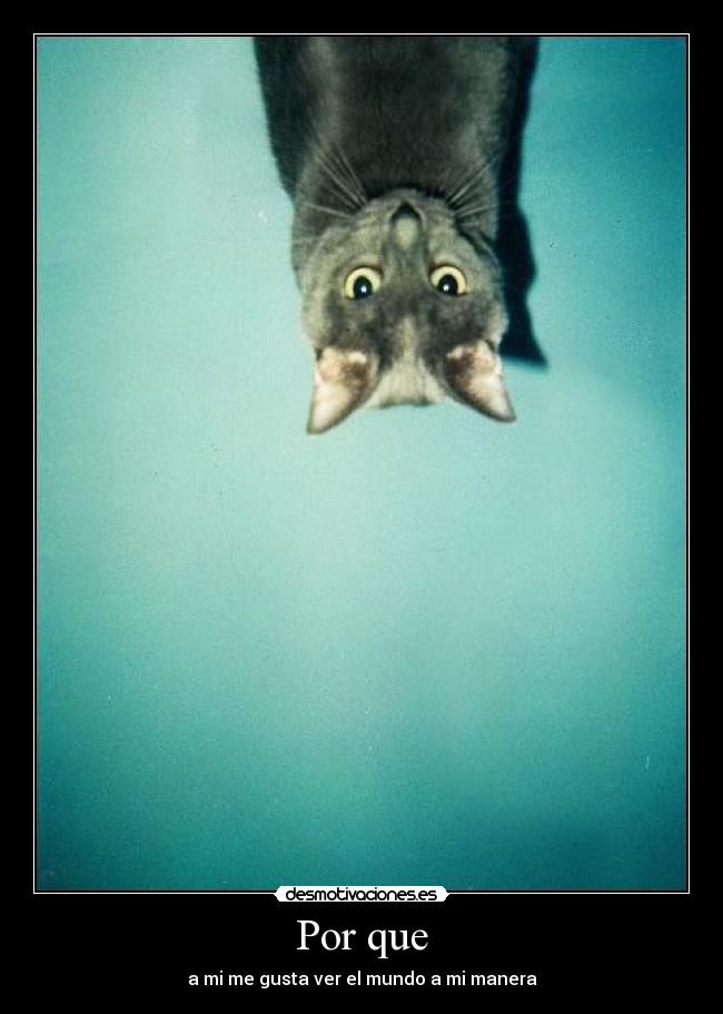 Por que -