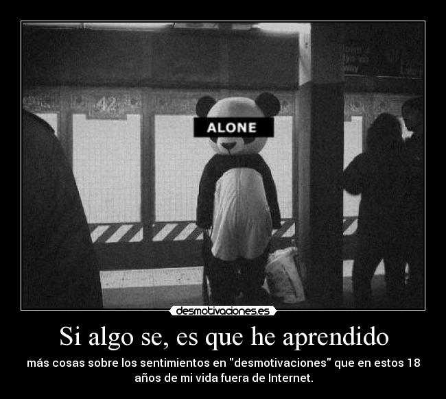 Si algo se, es que he aprendido - más cosas sobre los sentimientos en desmotivaciones que en estos 18
años de mi vida fuera de Internet.