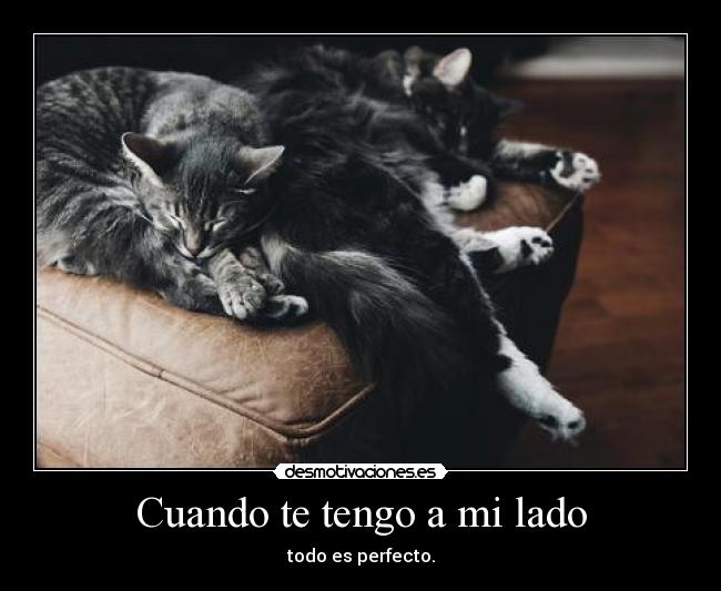 Cuando te tengo a mi lado -