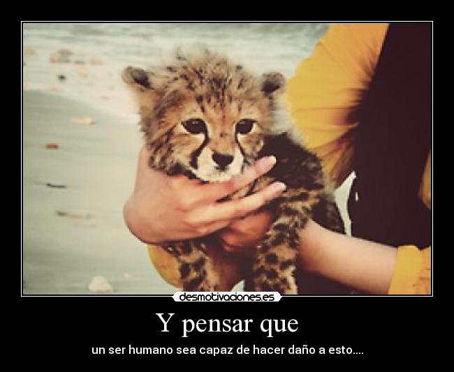 Y pensar que - un ser humano sea capaz de hacer daño a esto....