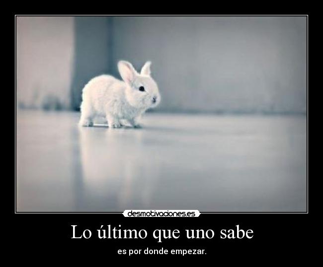 Lo último que uno sabe - 