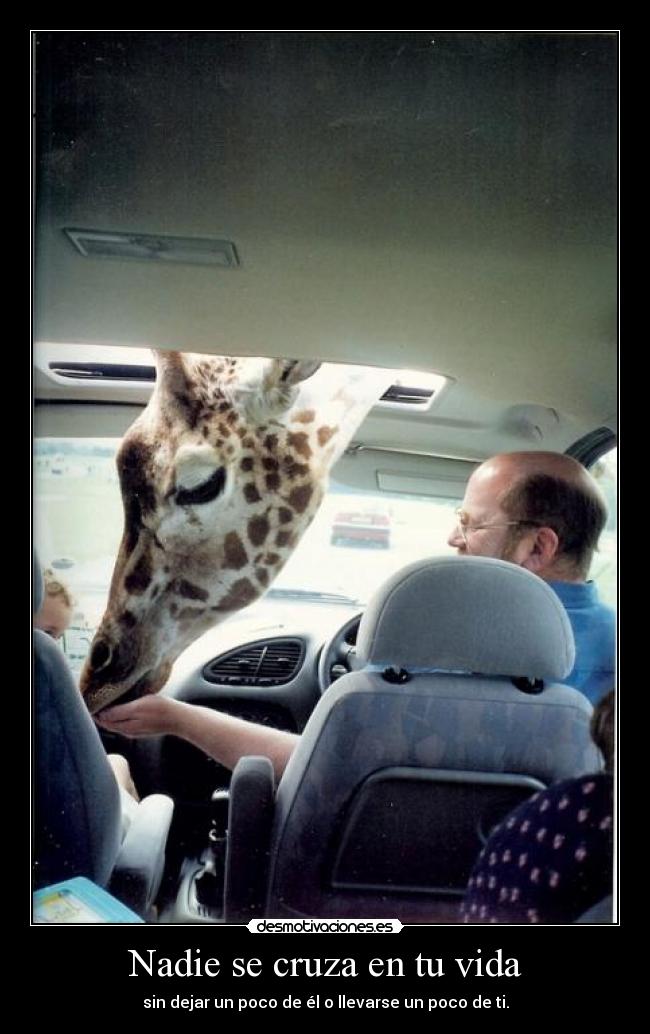 Nadie se cruza en tu vida - sin dejar un poco de él o llevarse un poco de ti.