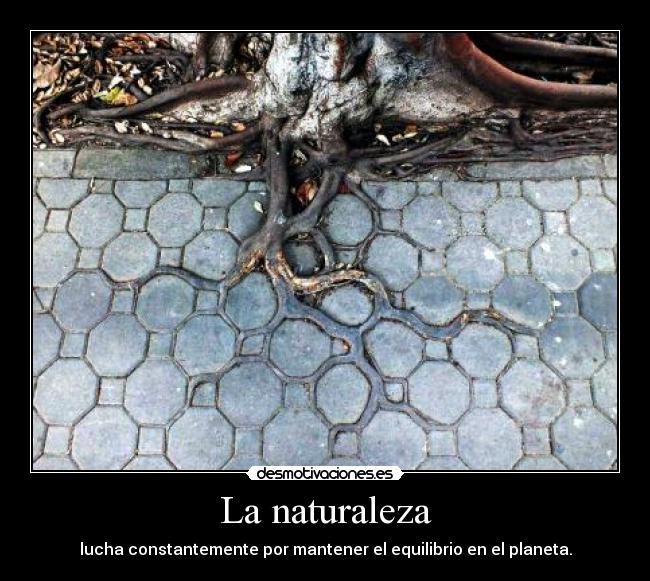 carteles naturaleza hago parte quisiera que los demas tomen conciencia more desmotivaciones