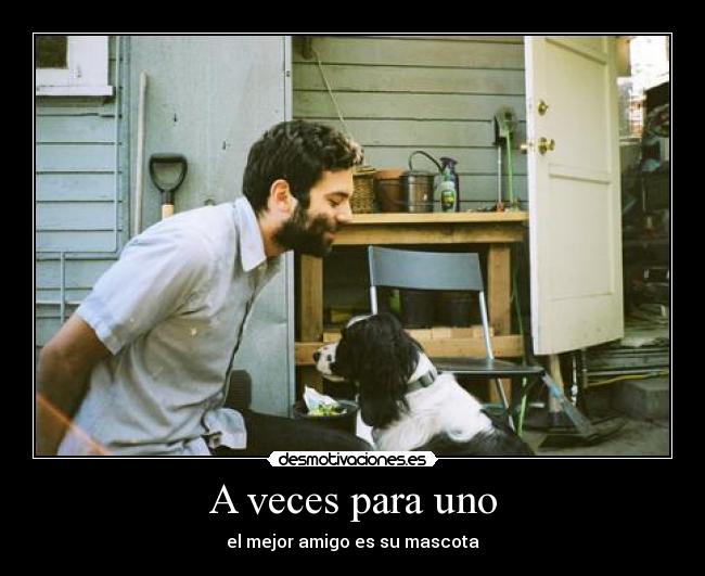 A veces para uno - el mejor amigo es su mascota