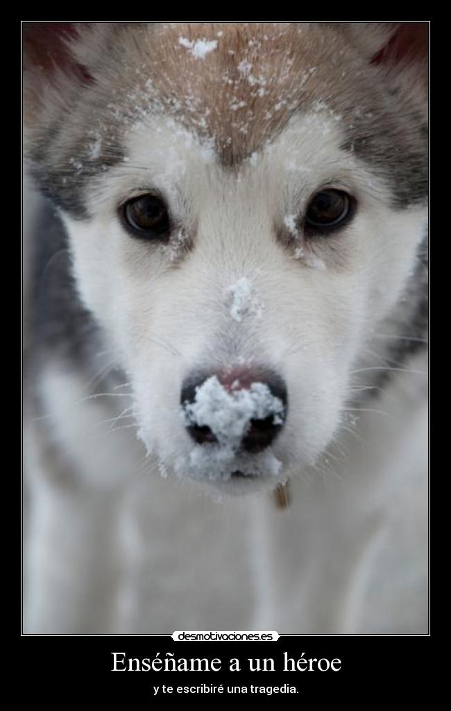 Enséñame a un héroe - y te escribiré una tragedia.