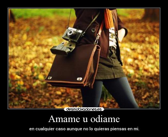 carteles amame odiame desmotivaciones