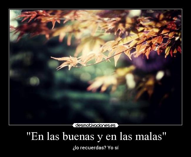 En las buenas y en las malas - 