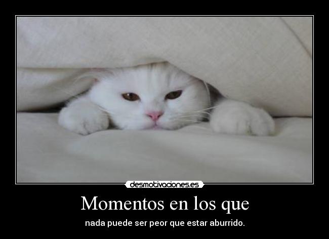 Momentos en los que - 