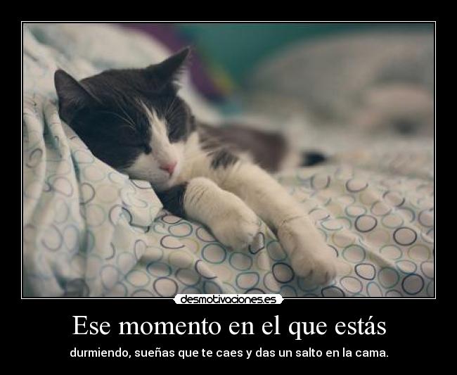 carteles ocsuhc desmopornositas intruders clanpechotes demasiado ruido para pensar entre tanto silencio desmotivaciones