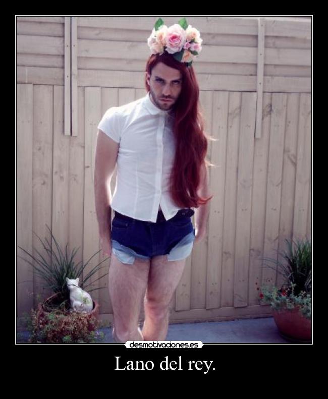 Lano del rey. -