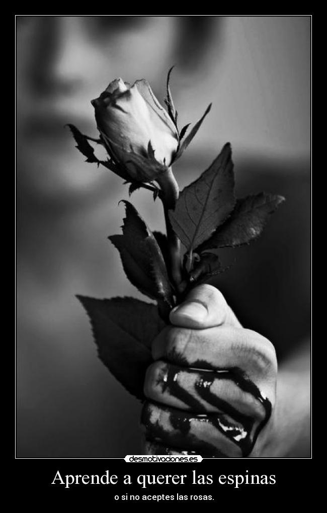 carteles aprende querer espinas aceptes rosas desmotivaciones