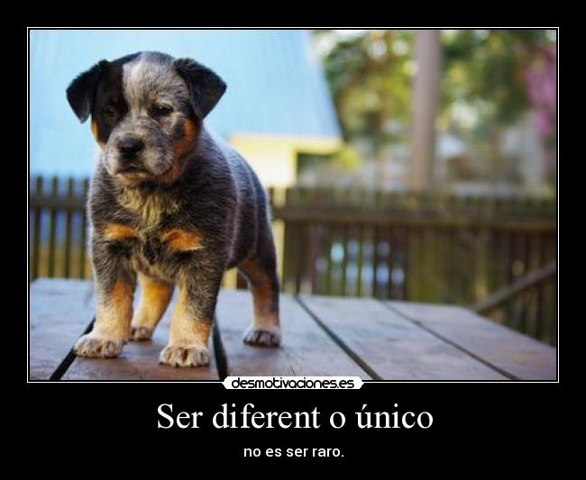 Ser diferent o único - no es ser raro.