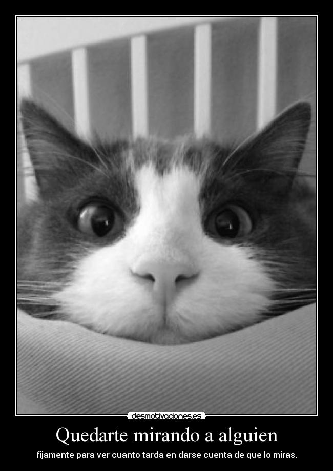 Quedarte mirando a alguien - fijamente para ver cuanto tarda en darse cuenta de que lo miras.