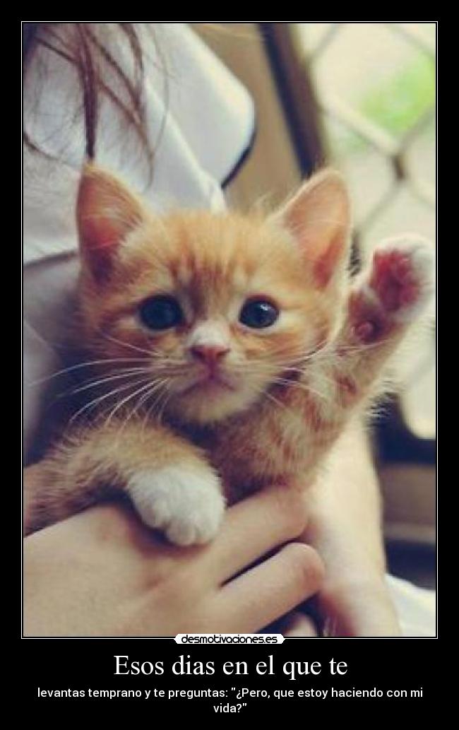 Esos dias en el que te - 