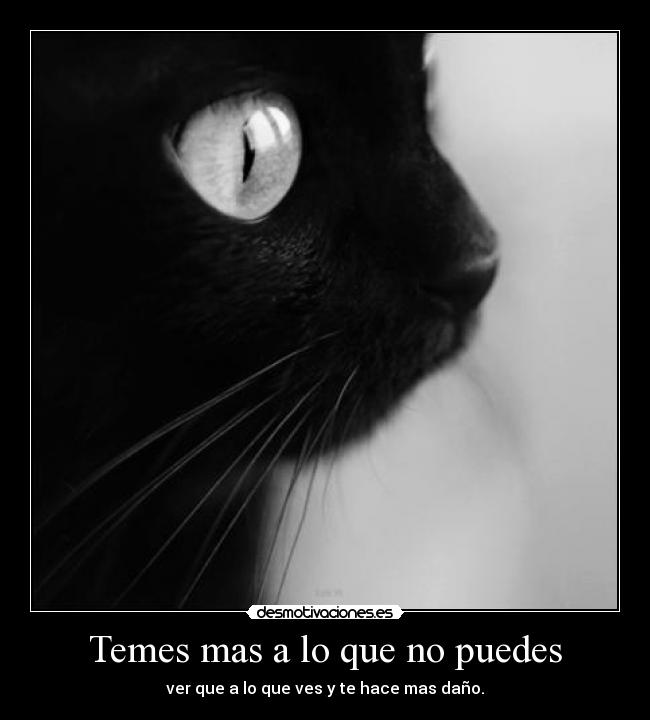 Temes mas a lo que no puedes - ver que a lo que ves y te hace mas daño.