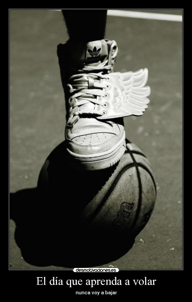 El día que aprenda a volar -