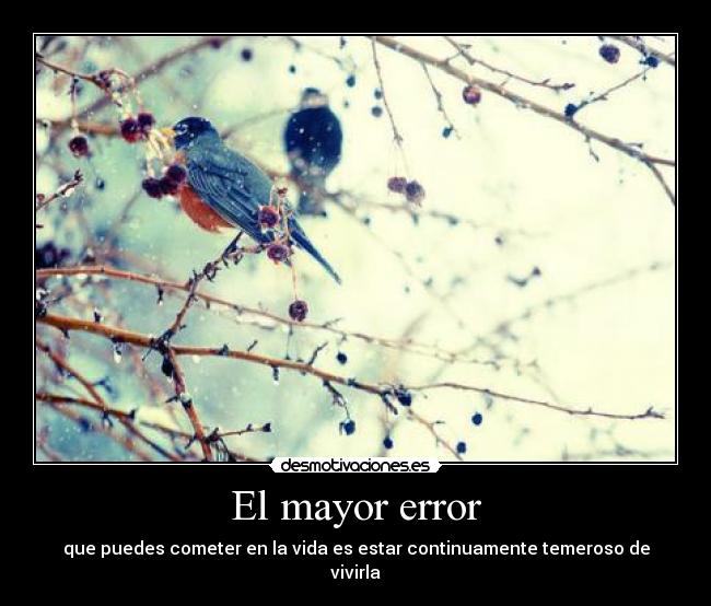 El mayor error -