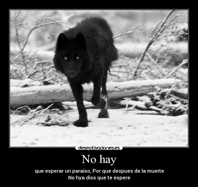 No hay - que esperar un paraiso, Por que despues de la muerte
No hya dios que te espere