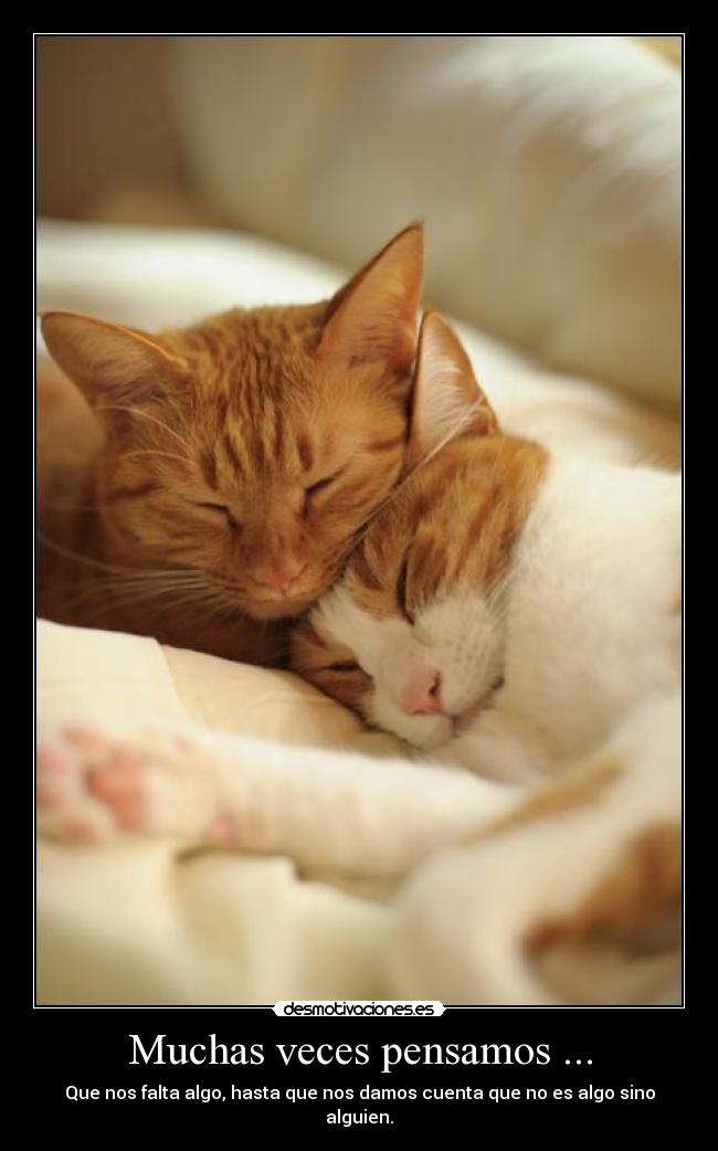 Muchas veces pensamos ... - Que nos falta algo, hasta que nos damos cuenta que no es algo sino alguien.