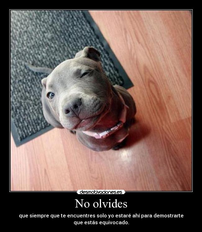 No olvides - 