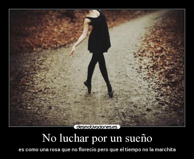No luchar por un sueño - es como una rosa que no florecio pero que el tiempo no la marchita