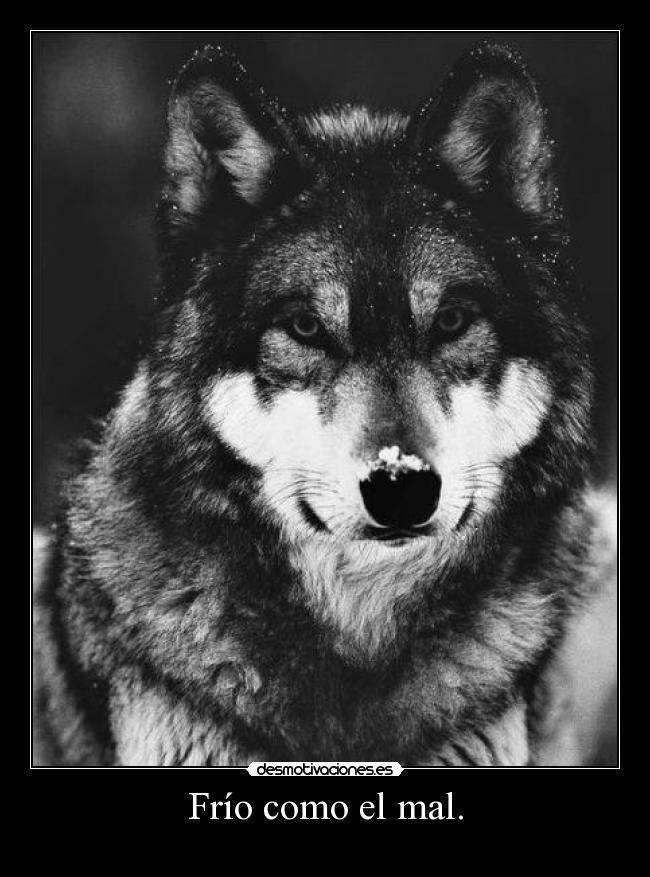 Frío como el mal. - 