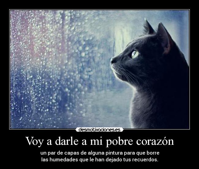 Voy a darle a mi pobre corazón -