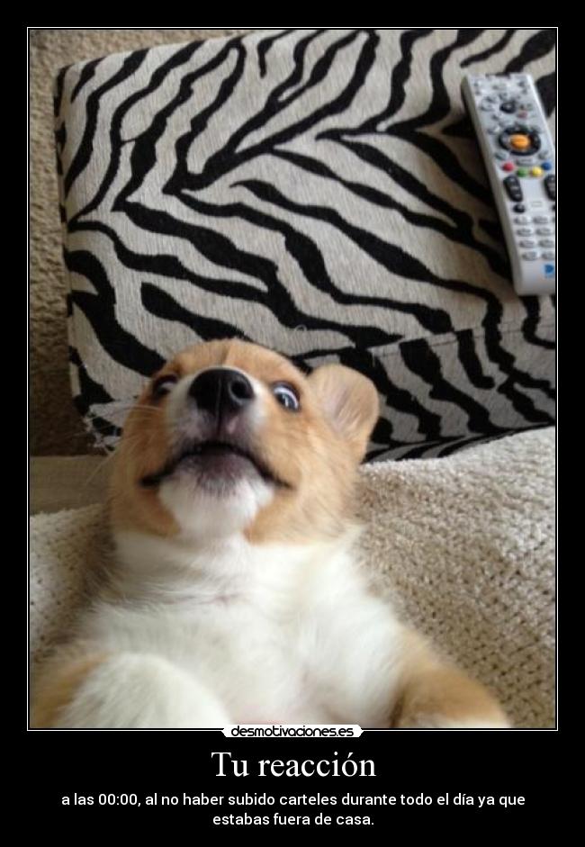 Tu reacción - a las 00:00, al no haber subido carteles durante todo el día ya que
estabas fuera de casa.
