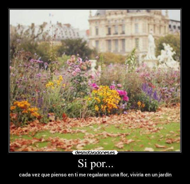Si por... - cada vez que pienso en ti me regalaran una flor, viviría en un jardín