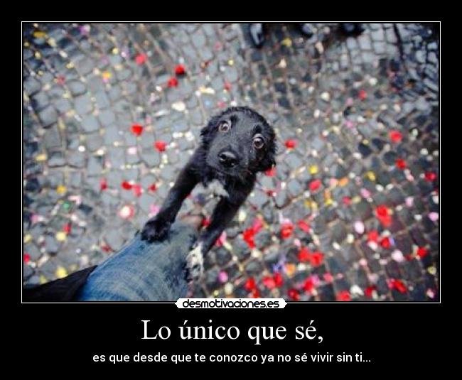 Lo único que sé, - 