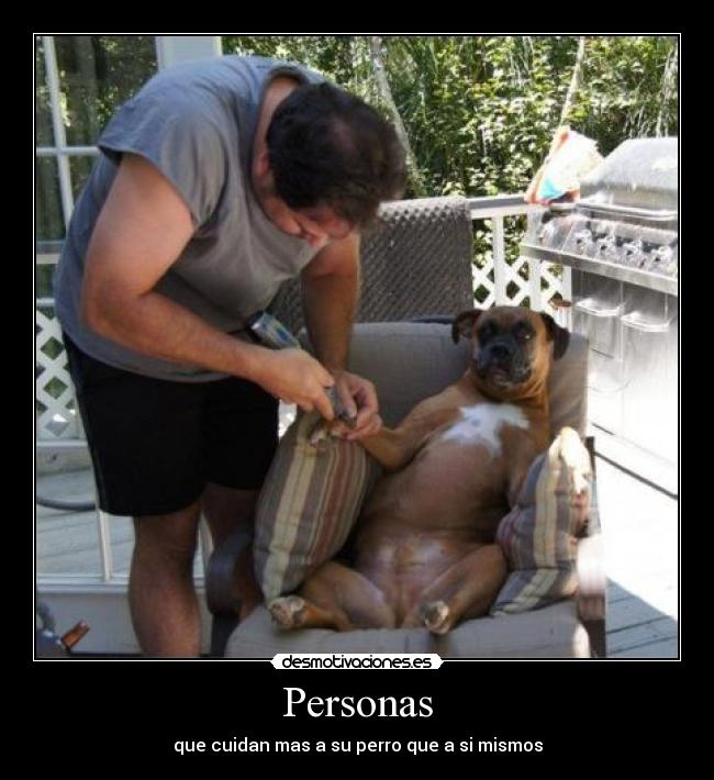 carteles ilovehardstyle perros persona desmotivaciones