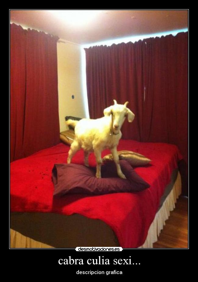 carteles fuck logic desmotivaciones