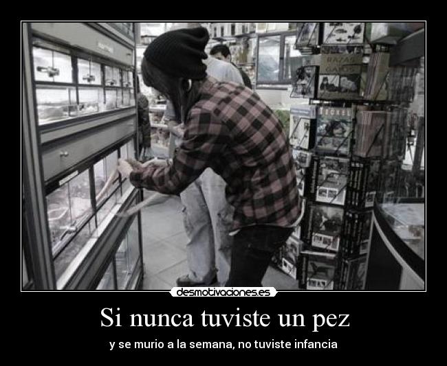 Si nunca tuviste un pez - y se murio a la semana, no tuviste infancia