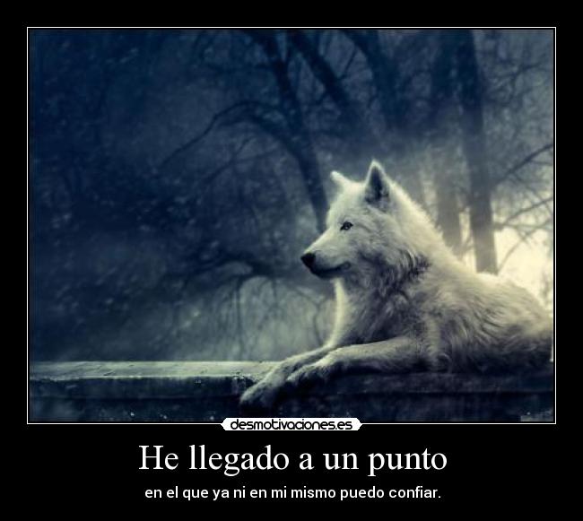 carteles soy fenix nico86 desmotivaciones