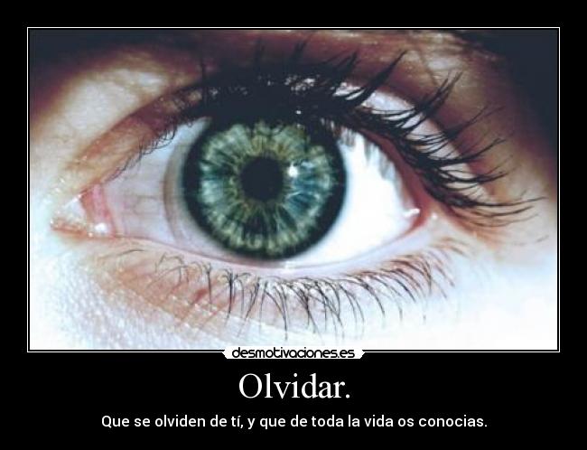 carteles olvidar olvidar desmotivaciones