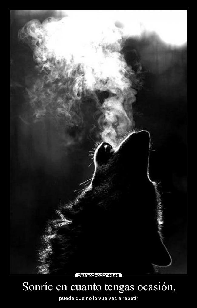 carteles una imagen blanco negro lobo que echa humo por boca principalya desmo02 desmotivaciones