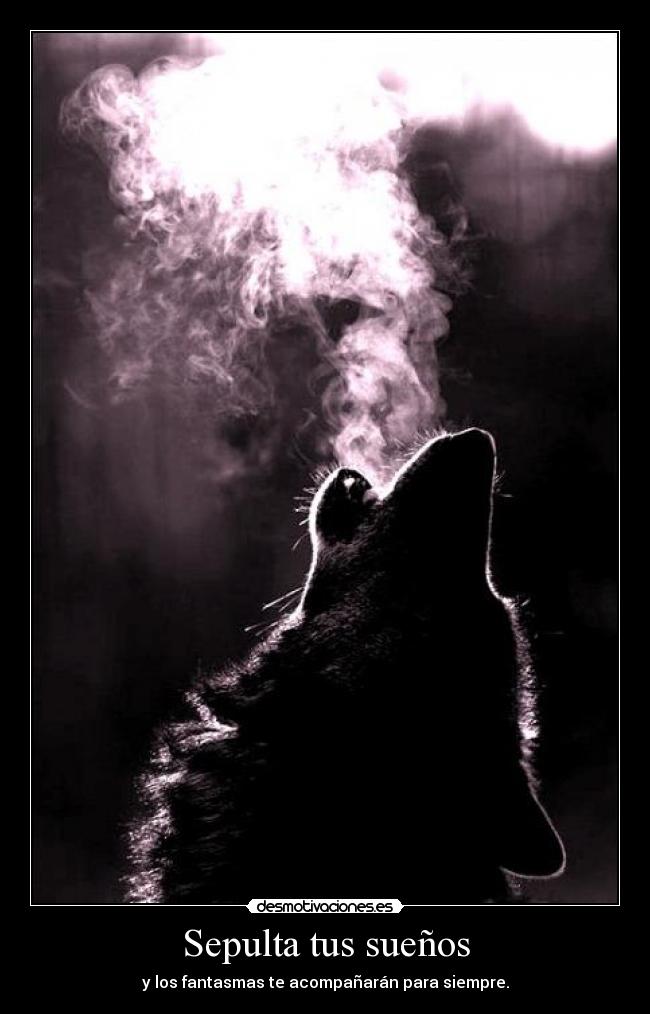 Sepulta tus sueños -