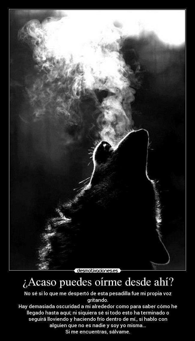 ¿Acaso puedes oírme desde ahí? -