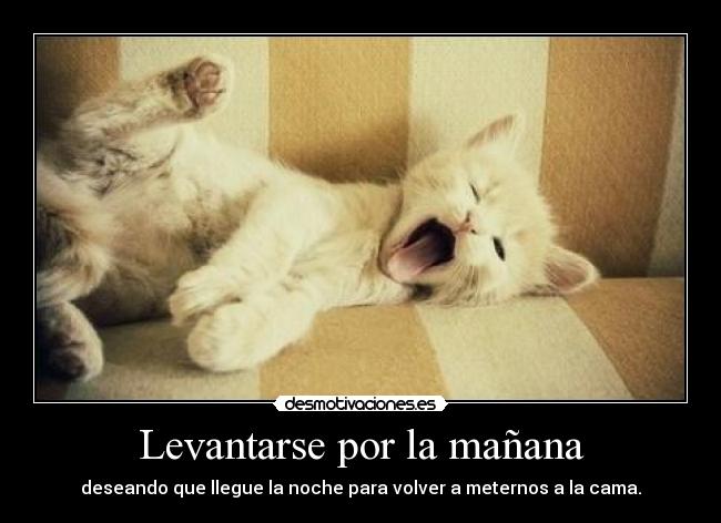 Levantarse por la mañana - deseando que llegue la noche para volver a meternos a la cama.
