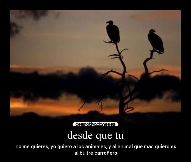 carteles buitres desmotivaciones