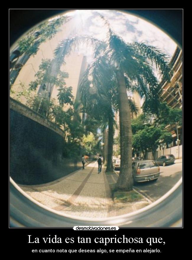 La vida es tan caprichosa que, - en cuanto nota que deseas algo, se empeña en alejarlo.