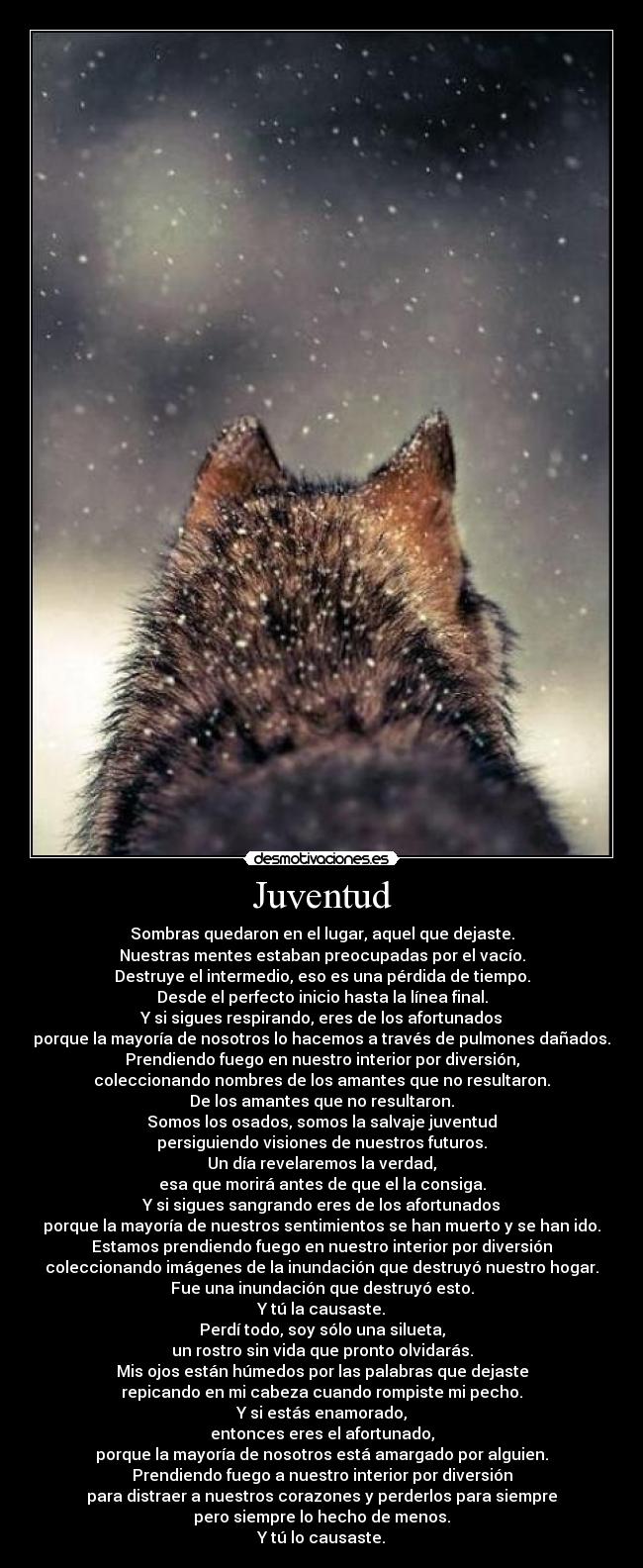Juventud - Sombras quedaron en el lugar, aquel que dejaste.
Nuestras mentes estaban preocupadas por el vacío.
Destruye el intermedio, eso es una pérdida de tiempo.
Desde el perfecto inicio hasta la línea final.
Y si sigues respirando, eres de los afortunados
porque la mayoría de nosotros lo hacemos a través de pulmones dañados.
Prendiendo fuego en nuestro interior por diversión,
coleccionando nombres de los amantes que no resultaron.
De los amantes que no resultaron.
Somos los osados, somos la salvaje juventud
persiguiendo visiones de nuestros futuros.
Un día revelaremos la verdad,
esa que morirá antes de que el la consiga.
Y si sigues sangrando eres de los afortunados
porque la mayoría de nuestros sentimientos se han muerto y se han ido.
Estamos prendiendo fuego en nuestro interior por diversión
coleccionando imágenes de la inundación que destruyó nuestro hogar.
Fue una inundación que destruyó esto.
Y tú la causaste.
Perdí todo, soy sólo una silueta,
un rostro sin vida que pronto olvidarás.
Mis ojos están húmedos por las palabras que dejaste
repicando en mi cabeza cuando rompiste mi pecho.
Y si estás enamorado,
entonces eres el afortunado,
porque la mayoría de nosotros está amargado por alguien.
Prendiendo fuego a nuestro interior por diversión
para distraer a nuestros corazones y perderlos para siempre
pero siempre lo hecho de menos.
Y tú lo causaste.