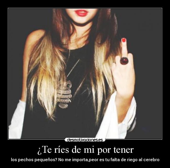 ¿Te ríes de mi por tener - los pechos pequeños? No me importa,peor es tu falta de riego al cerebro