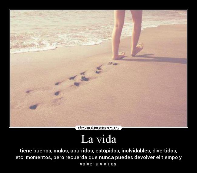 La vida - tiene buenos, malos, aburridos, estúpidos, inolvidables, divertidos,
etc. momentos, pero recuerda que nunca puedes devolver el tiempo y
volver a vivirlos.