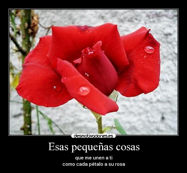 Esas pequeñas cosas - que me unen a ti
como cada pétalo a su rosa
