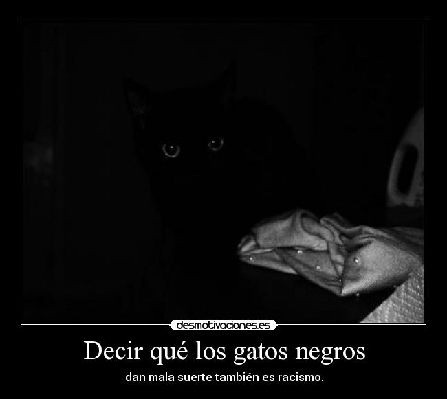 Decir qué los gatos negros - 