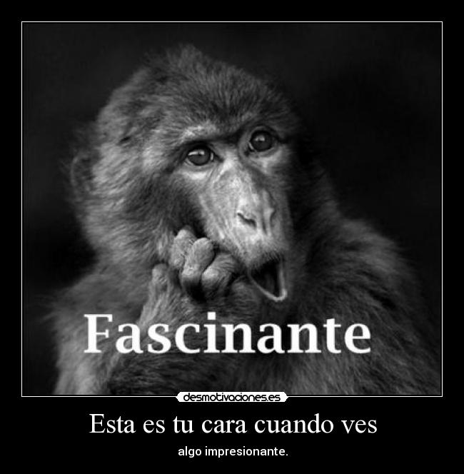 Esta es tu cara cuando ves - algo impresionante.