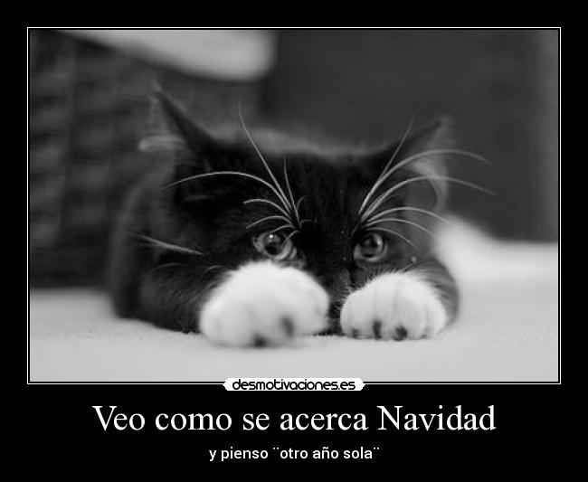 Veo como se acerca Navidad - y pienso ¨otro año sola¨